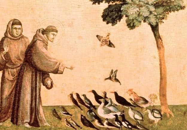 Franciszek kazanie do zwierząt